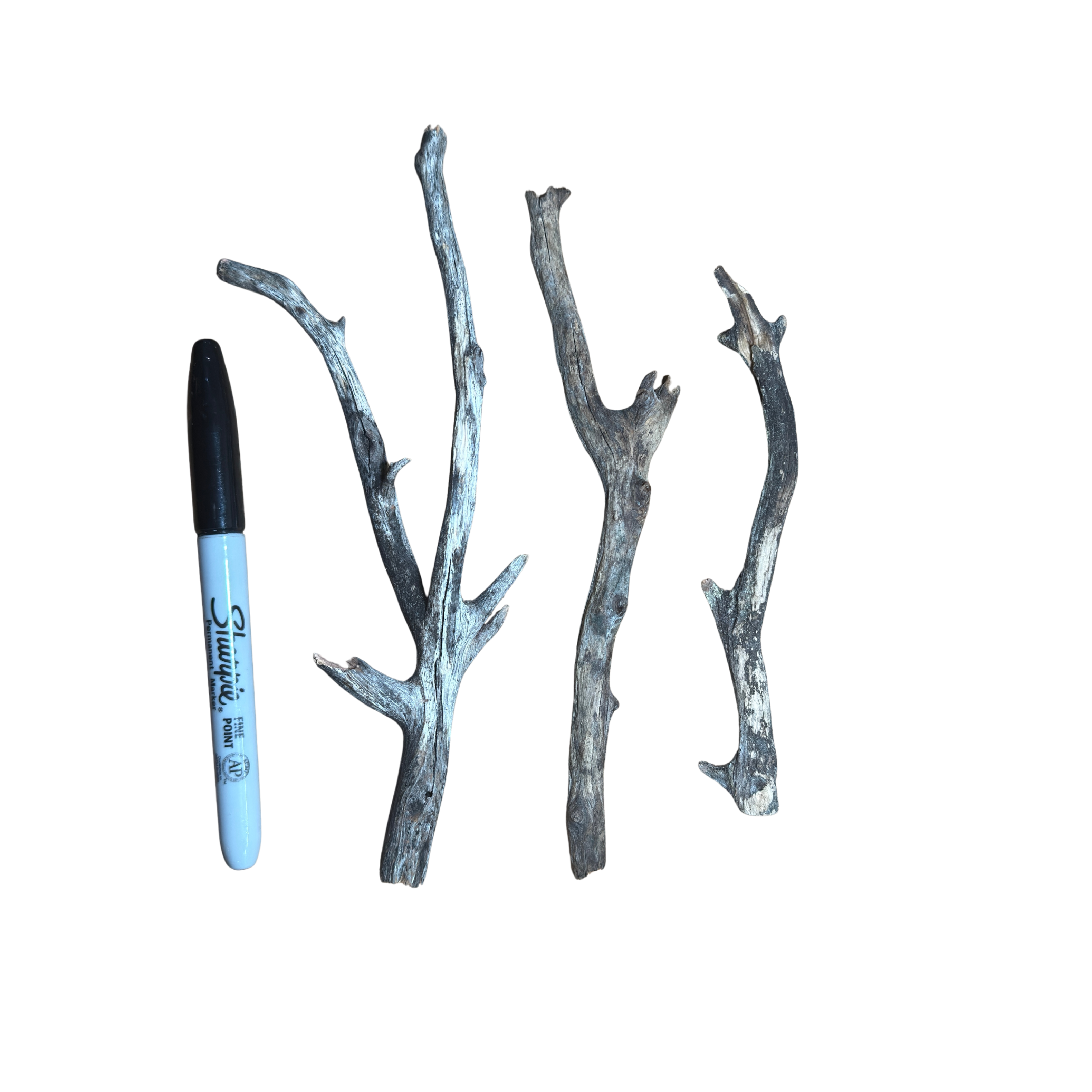 Extra Small Manzanita Wood – 3 Pack