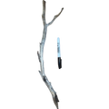 Medium Manzanita Wood (35–55cm)